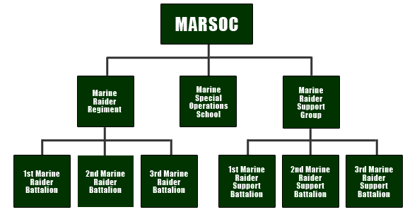 MARSOC organization chart