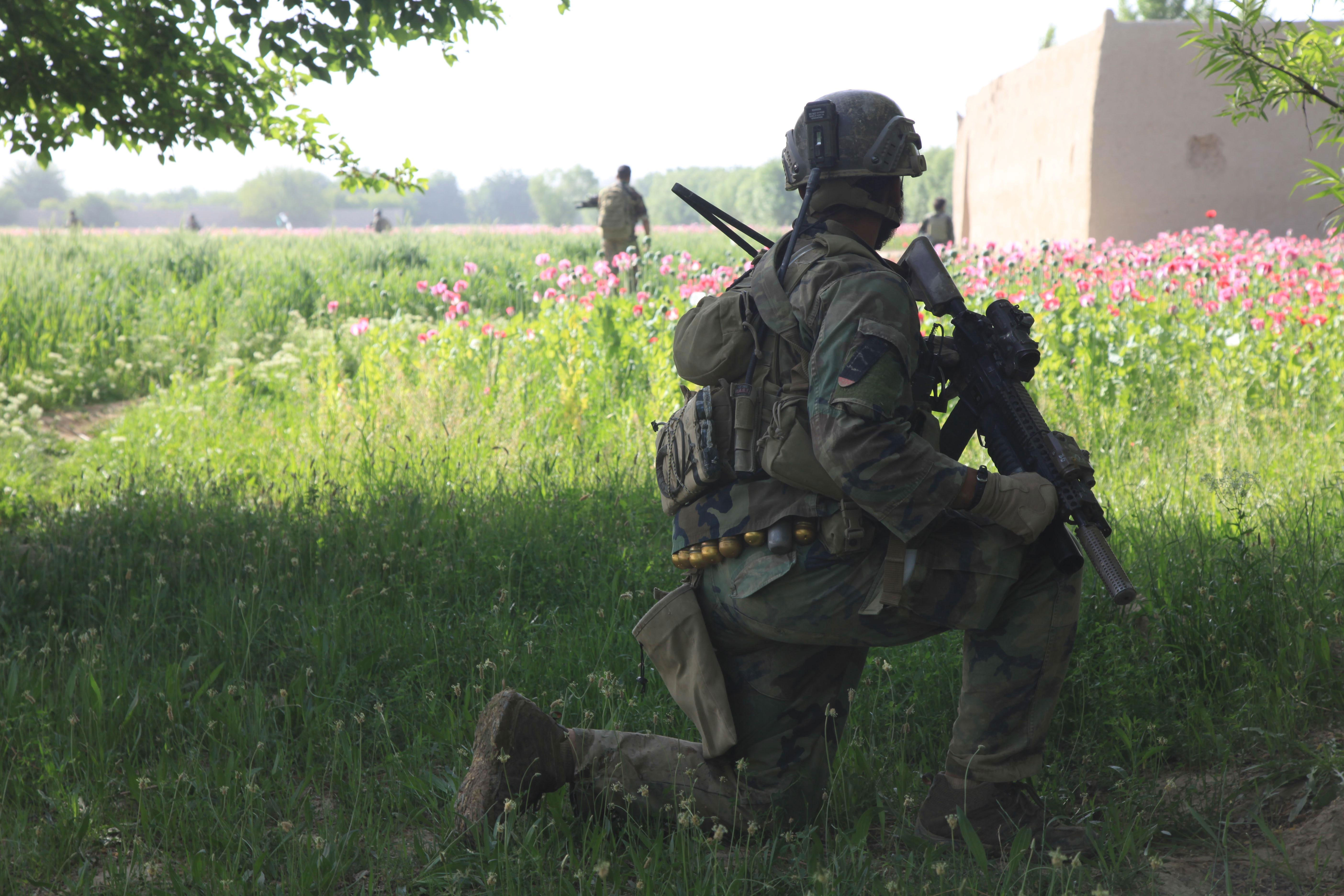 1st Marine Special Operations Battalion | Helmand