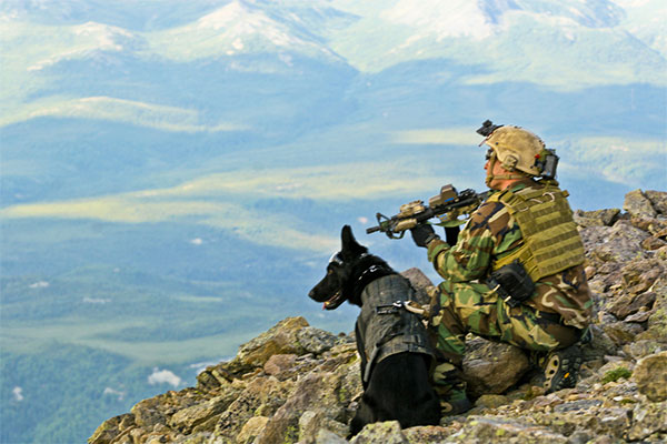 SEALs - military working dog