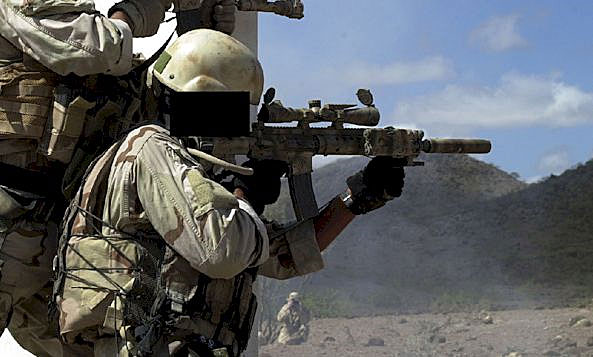 SEALs - with SPR rifle