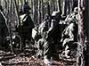 SEALs - woodland ops
