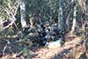 rrt - 22nd MEU
