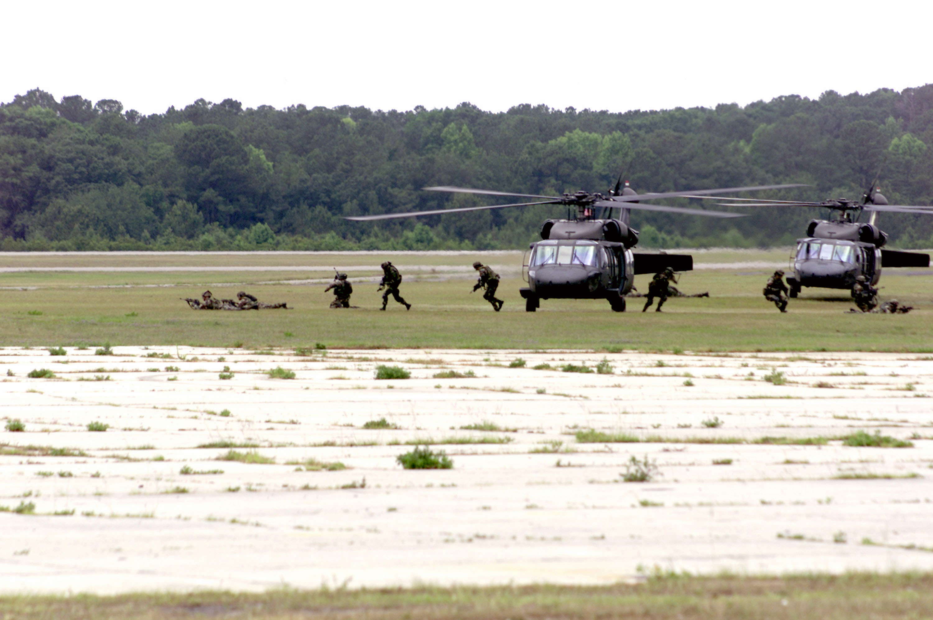 Ranger - Black Hawks