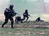 Rangers - Chinook