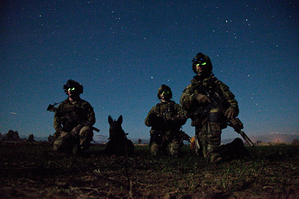 Rangers - Working Dog