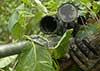 USMC scout sniper