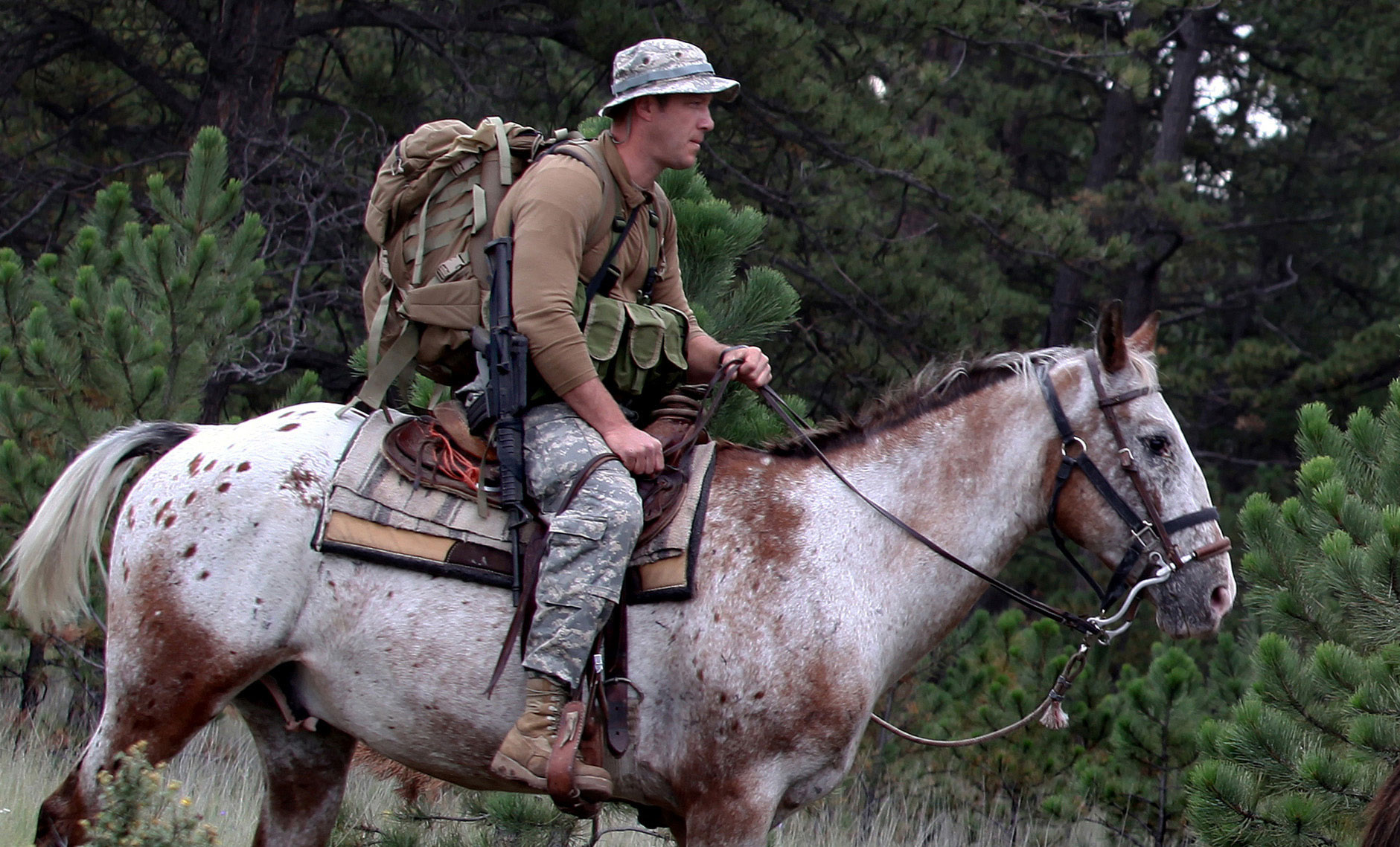 Special Forces | Horse