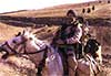 Special Forces soldier on horseback