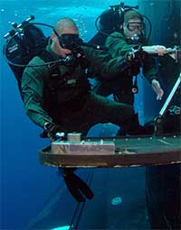 SEAL divers
