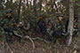USMC DRP