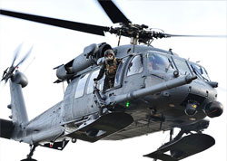 Pavehawk