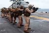 Force Recon - MEU