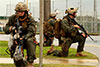 MRF 31st MEU