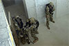 Rangers - CQB