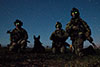 Rangers - dog