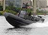 nsw rhib