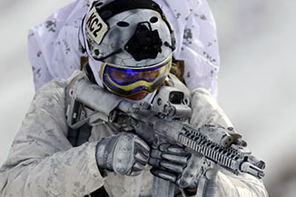 SEAL in Snow