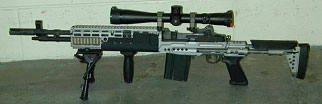 Mark 14 Mod 0 Enhanced Battle Rifle - SWAT Survival